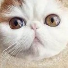 泰国试管费用都花哪了，有没有额外费用