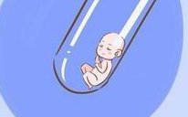 女性试管移植后有哪些饮食禁忌？这些食物都应该避免