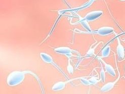 2026年拉拉可以在中山市博爱医院做三代试管吗？大概要花费多少钱？